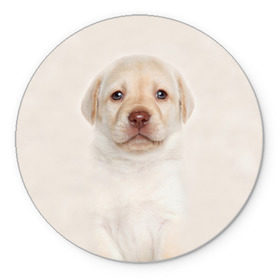 Коврик круглый с принтом Лабрадор в Тюмени, резина и полиэстер | круглая форма, изображение наносится на всю лицевую часть | dog | labrador | puppy | порода | собака | собачка | щенок