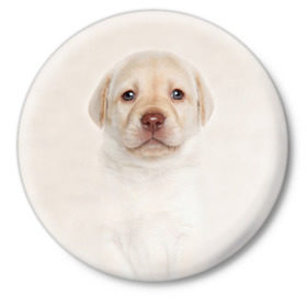 Значок с принтом Лабрадор в Тюмени,  металл | круглая форма, металлическая застежка в виде булавки | dog | labrador | puppy | порода | собака | собачка | щенок