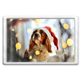 Магнит 45*70 с принтом Рождество в Тюмени, Пластик | Размер: 78*52 мм; Размер печати: 70*45 | Тематика изображения на принте: dog | кавалер кинг чарльз спаниель | новый год | пес | рождество | собака