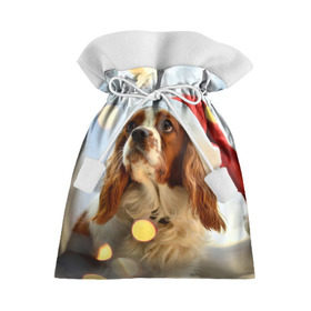 Подарочный 3D мешок с принтом Рождество в Тюмени, 100% полиэстер | Размер: 29*39 см | dog | кавалер кинг чарльз спаниель | новый год | пес | рождество | собака