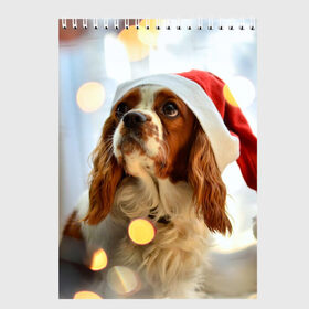 Скетчбук с принтом Рождество в Тюмени, 100% бумага
 | 48 листов, плотность листов — 100 г/м2, плотность картонной обложки — 250 г/м2. Листы скреплены сверху удобной пружинной спиралью | Тематика изображения на принте: dog | кавалер кинг чарльз спаниель | новый год | пес | рождество | собака