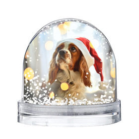 Водяной шар с принтом Рождество в Тюмени, Пластик | Изображение внутри шара печатается на глянцевой фотобумаге с двух сторон | dog | кавалер кинг чарльз спаниель | новый год | пес | рождество | собака