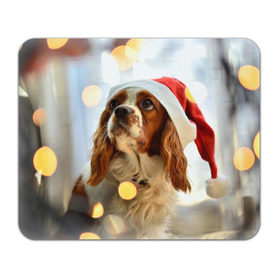 Коврик прямоугольный с принтом Рождество в Тюмени, натуральный каучук | размер 230 х 185 мм; запечатка лицевой стороны | dog | кавалер кинг чарльз спаниель | новый год | пес | рождество | собака