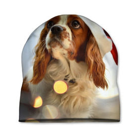 Шапка 3D с принтом Рождество в Тюмени, 100% полиэстер | универсальный размер, печать по всей поверхности изделия | Тематика изображения на принте: dog | кавалер кинг чарльз спаниель | новый год | пес | рождество | собака