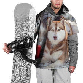 Накидка на куртку 3D с принтом Хаски в Тюмени, 100% полиэстер |  | dog | лабрадор | мопс | пес | собака | такса | хаски | щеночек