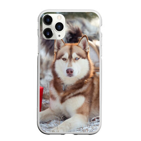 Чехол для iPhone 11 Pro матовый с принтом Хаски в Тюмени, Силикон |  | dog | лабрадор | мопс | пес | собака | такса | хаски | щеночек
