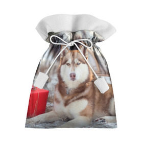 Подарочный 3D мешок с принтом Хаски в Тюмени, 100% полиэстер | Размер: 29*39 см | Тематика изображения на принте: dog | лабрадор | мопс | пес | собака | такса | хаски | щеночек