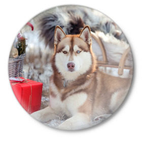 Значок с принтом Хаски в Тюмени,  металл | круглая форма, металлическая застежка в виде булавки | dog | лабрадор | мопс | пес | собака | такса | хаски | щеночек
