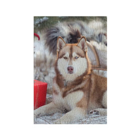 Обложка для паспорта матовая кожа с принтом Хаски в Тюмени, натуральная матовая кожа | размер 19,3 х 13,7 см; прозрачные пластиковые крепления | Тематика изображения на принте: dog | лабрадор | мопс | пес | собака | такса | хаски | щеночек