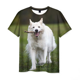 Мужская футболка 3D с принтом Палочка в Тюмени, 100% полиэфир | прямой крой, круглый вырез горловины, длина до линии бедер | dog | лабрадор | мопс | пес | собака | такса | хаски | щеночек