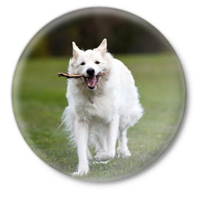 Значок с принтом Палочка в Тюмени,  металл | круглая форма, металлическая застежка в виде булавки | Тематика изображения на принте: dog | лабрадор | мопс | пес | собака | такса | хаски | щеночек