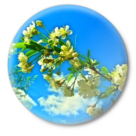 Значок с принтом Вишня в Тюмени,  металл | круглая форма, металлическая застежка в виде булавки | 3d | весна | другие | красивые цветы | лето | поле | полевой цветок | прикольные | природа | текстуры | цветочки | цветы
