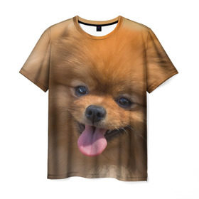 Мужская футболка 3D с принтом Милашка в Тюмени, 100% полиэфир | прямой крой, круглый вырез горловины, длина до линии бедер | dog | пес | померанский | собака | шпиц | щеночек