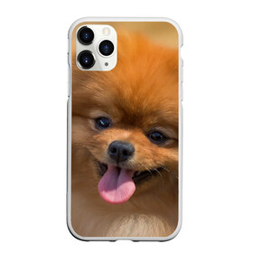 Чехол для iPhone 11 Pro матовый с принтом Милашка в Тюмени, Силикон |  | Тематика изображения на принте: dog | пес | померанский | собака | шпиц | щеночек