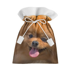 Подарочный 3D мешок с принтом Милашка в Тюмени, 100% полиэстер | Размер: 29*39 см | dog | пес | померанский | собака | шпиц | щеночек