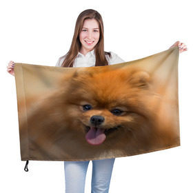 Флаг 3D с принтом Милашка в Тюмени, 100% полиэстер | плотность ткани — 95 г/м2, размер — 67 х 109 см. Принт наносится с одной стороны | dog | пес | померанский | собака | шпиц | щеночек