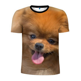 Мужская футболка 3D спортивная с принтом Милашка в Тюмени, 100% полиэстер с улучшенными характеристиками | приталенный силуэт, круглая горловина, широкие плечи, сужается к линии бедра | dog | пес | померанский | собака | шпиц | щеночек