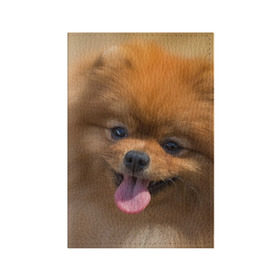 Обложка для паспорта матовая кожа с принтом Милашка в Тюмени, натуральная матовая кожа | размер 19,3 х 13,7 см; прозрачные пластиковые крепления | Тематика изображения на принте: dog | пес | померанский | собака | шпиц | щеночек