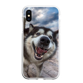 Чехол для iPhone XS Max матовый с принтом Smile в Тюмени, Силикон | Область печати: задняя сторона чехла, без боковых панелей | dog | лабрадор | мопс | пес | собака | такса | хаски | щеночек