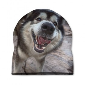 Шапка 3D с принтом Smile в Тюмени, 100% полиэстер | универсальный размер, печать по всей поверхности изделия | Тематика изображения на принте: dog | лабрадор | мопс | пес | собака | такса | хаски | щеночек