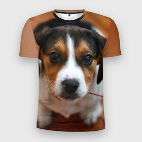 Мужская футболка 3D спортивная с принтом Щеночек в Тюмени, 100% полиэстер с улучшенными характеристиками | приталенный силуэт, круглая горловина, широкие плечи, сужается к линии бедра | dog | бигль | пес | собака | щеночек
