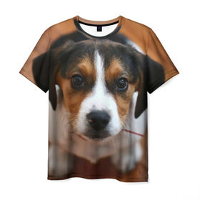 Мужская футболка 3D с принтом Щеночек в Тюмени, 100% полиэфир | прямой крой, круглый вырез горловины, длина до линии бедер | dog | бигль | пес | собака | щеночек