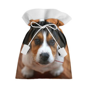 Подарочный 3D мешок с принтом Щеночек в Тюмени, 100% полиэстер | Размер: 29*39 см | Тематика изображения на принте: dog | бигль | пес | собака | щеночек