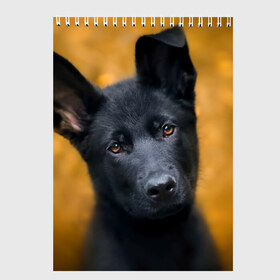 Скетчбук с принтом Doggy в Тюмени, 100% бумага
 | 48 листов, плотность листов — 100 г/м2, плотность картонной обложки — 250 г/м2. Листы скреплены сверху удобной пружинной спиралью | dog | овчарка | пес | собака | черная овчарка | щеночек