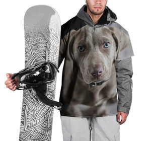 Накидка на куртку 3D с принтом Puppy в Тюмени, 100% полиэстер |  | dog | веймаранер | пес | собака | щеночек