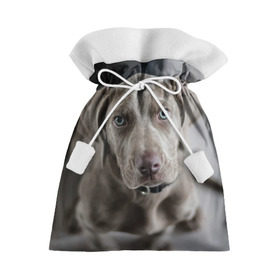 Подарочный 3D мешок с принтом Puppy в Тюмени, 100% полиэстер | Размер: 29*39 см | dog | веймаранер | пес | собака | щеночек