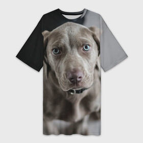 Платье-футболка 3D с принтом Puppy в Тюмени,  |  | dog | веймаранер | пес | собака | щеночек