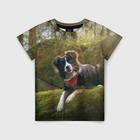 Детская футболка 3D с принтом Лес в Тюмени, 100% гипоаллергенный полиэфир | прямой крой, круглый вырез горловины, длина до линии бедер, чуть спущенное плечо, ткань немного тянется | dog | бордер колли | пес | собака