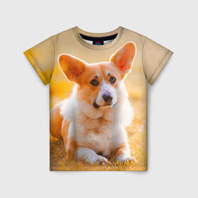 Детская футболка 3D с принтом Взгляд в Тюмени, 100% гипоаллергенный полиэфир | прямой крой, круглый вырез горловины, длина до линии бедер, чуть спущенное плечо, ткань немного тянется | dog | вельш корги | корги | пес | собака