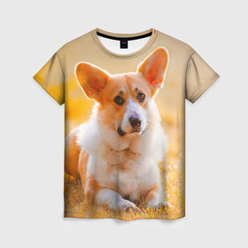 Женская футболка 3D с принтом Взгляд в Тюмени, 100% полиэфир ( синтетическое хлопкоподобное полотно) | прямой крой, круглый вырез горловины, длина до линии бедер | dog | вельш корги | корги | пес | собака