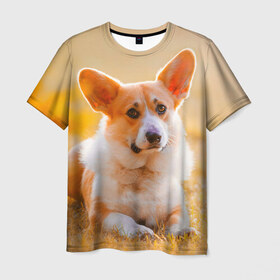 Мужская футболка 3D с принтом Взгляд в Тюмени, 100% полиэфир | прямой крой, круглый вырез горловины, длина до линии бедер | dog | вельш корги | корги | пес | собака