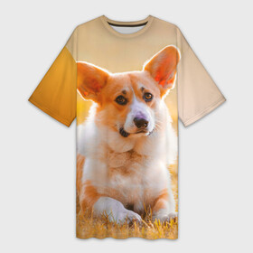Платье-футболка 3D с принтом Взгляд в Тюмени,  |  | dog | вельш корги | корги | пес | собака