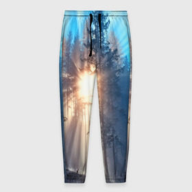 Мужские брюки 3D с принтом Woodland в Тюмени, 100% полиэстер | манжеты по низу, эластичный пояс регулируется шнурком, по бокам два кармана без застежек, внутренняя часть кармана из мелкой сетки | деревья | лес | пейзаж