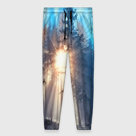 Женские брюки 3D с принтом Woodland в Тюмени, полиэстер 100% | прямой крой, два кармана без застежек по бокам, с мягкой трикотажной резинкой на поясе и по низу штанин. В поясе для дополнительного комфорта — широкие завязки | деревья | лес | пейзаж