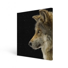 Холст квадратный с принтом Волк и звезды в Тюмени, 100% ПВХ |  | животные | зверь | серый | хищник