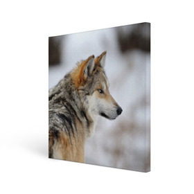 Холст квадратный с принтом Хозяин леса в Тюмени, 100% ПВХ |  | волк | серый
