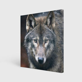 Холст квадратный с принтом Серый волк в Тюмени, 100% ПВХ |  | аука | бирюк | волк | волчара | волчица | волчок | глаза | животное | животные | зверь | зеленые | койот | лес | млекопитающее | природа | санитар леса | серый | уши | фауна | хищник | черный | шакал