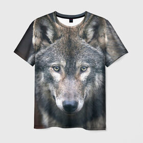 Мужская футболка 3D с принтом Серый волк в Тюмени, 100% полиэфир | прямой крой, круглый вырез горловины, длина до линии бедер | аука | бирюк | волк | волчара | волчица | волчок | глаза | животное | животные | зверь | зеленые | койот | лес | млекопитающее | природа | санитар леса | серый | уши | фауна | хищник | черный | шакал
