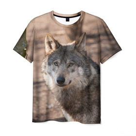 Мужская футболка 3D с принтом Серый волк в Тюмени, 100% полиэфир | прямой крой, круглый вырез горловины, длина до линии бедер | аука | бирюк | волк | волчара | волчица | волчок | глаза | животное | животные | зверь | зеленые | койот | лес | млекопитающее | природа | санитар леса | серый | уши | фауна | хищник | черный | шакал