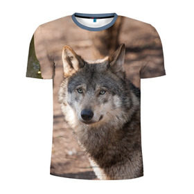 Мужская футболка 3D спортивная с принтом Серый волк в Тюмени, 100% полиэстер с улучшенными характеристиками | приталенный силуэт, круглая горловина, широкие плечи, сужается к линии бедра | Тематика изображения на принте: аука | бирюк | волк | волчара | волчица | волчок | глаза | животное | животные | зверь | зеленые | койот | лес | млекопитающее | природа | санитар леса | серый | уши | фауна | хищник | черный | шакал