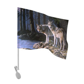 Флаг для автомобиля с принтом Волки, картина маслом в Тюмени, 100% полиэстер | Размер: 30*21 см | аука | бирюк | волк | волчара | волчица | волчок | глаза | животное | животные | зверь | зеленые | койот | лес | млекопитающее | природа | санитар леса | серый | уши | фауна | хищник | черный | шакал