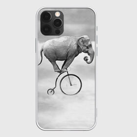 Чехол для iPhone 12 Pro Max с принтом Hipster Bike в Тюмени, Силикон |  | Тематика изображения на принте: elephant | hipster | индия | йога | слон | хипстер
