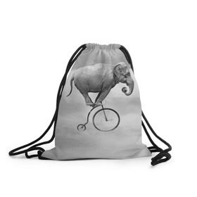 Рюкзак-мешок 3D с принтом Hipster Bike в Тюмени, 100% полиэстер | плотность ткани — 200 г/м2, размер — 35 х 45 см; лямки — толстые шнурки, застежка на шнуровке, без карманов и подкладки | elephant | hipster | индия | йога | слон | хипстер