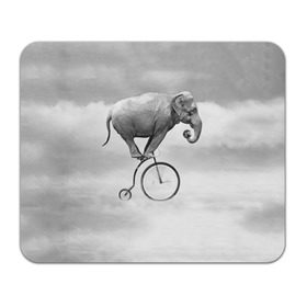 Коврик прямоугольный с принтом Hipster Bike в Тюмени, натуральный каучук | размер 230 х 185 мм; запечатка лицевой стороны | elephant | hipster | индия | йога | слон | хипстер