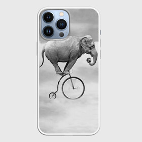 Чехол для iPhone 13 Pro Max с принтом Hipster Bike в Тюмени,  |  | Тематика изображения на принте: elephant | hipster | индия | йога | слон | хипстер