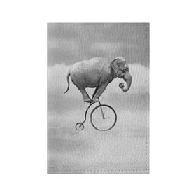 Обложка для паспорта матовая кожа с принтом Hipster Bike в Тюмени, натуральная матовая кожа | размер 19,3 х 13,7 см; прозрачные пластиковые крепления | Тематика изображения на принте: elephant | hipster | индия | йога | слон | хипстер